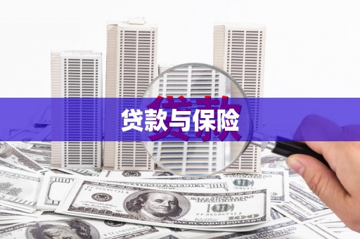 长宁贷款与保险