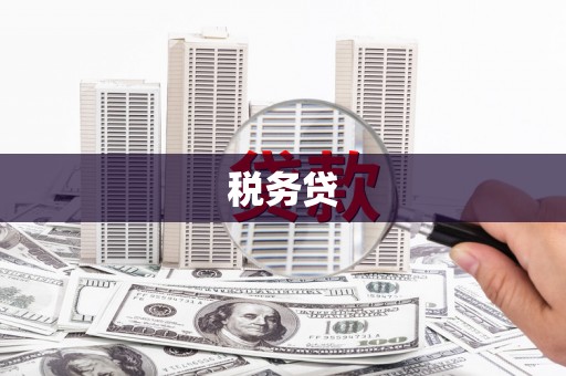 西咸税务贷