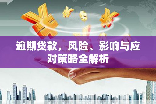 漳平逾期贷款，风险、影响与应对策略全解析
