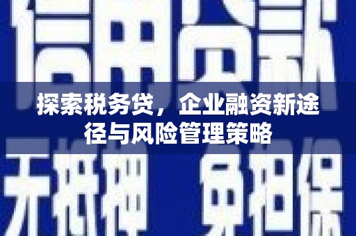 秦淮探索税务贷，企业融资新途径与风险管理策略