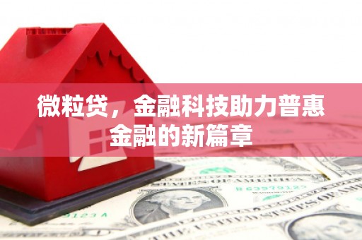 上犹微粒贷，金融科技助力普惠金融的新篇章