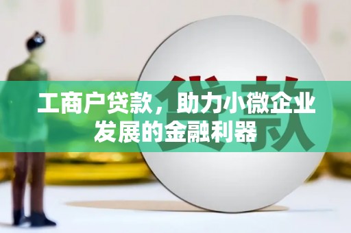 隆阳工商户贷款，助力小微企业发展的金融利器