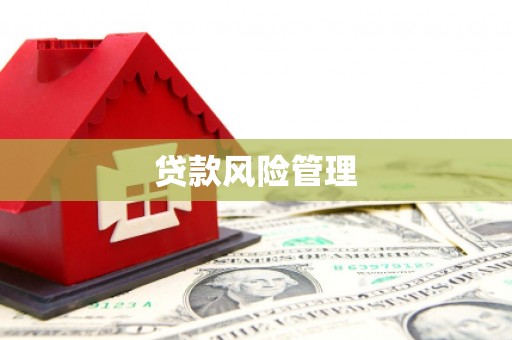鹿泉贷款风险管理