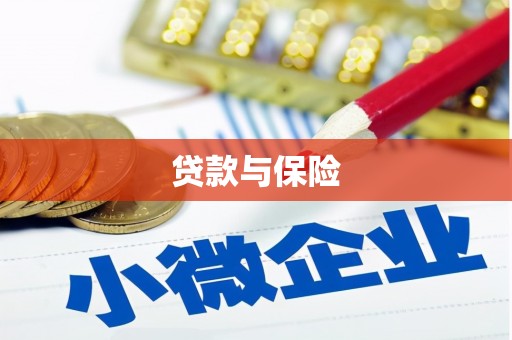 汤原贷款与保险