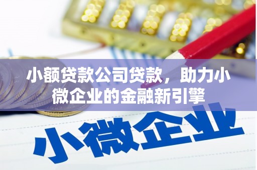 凌海小额贷款公司贷款，助力小微企业的金融新引擎