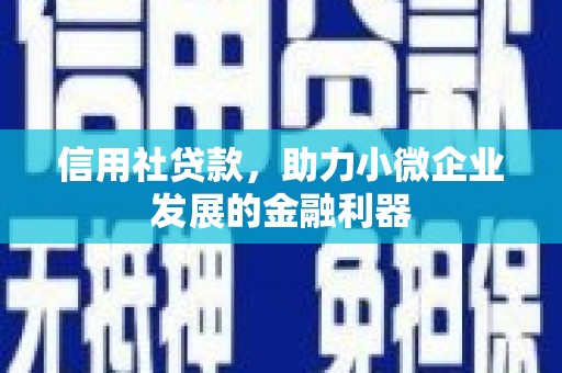 米东信用社贷款，助力小微企业发展的金融利器
