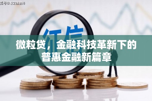 木兰微粒贷，金融科技革新下的普惠金融新篇章