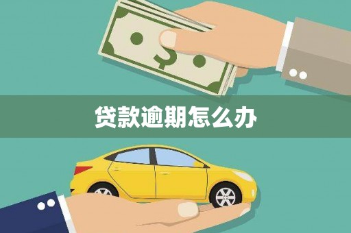 太白贷款逾期怎么办