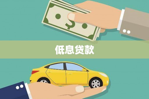 新野低息贷款