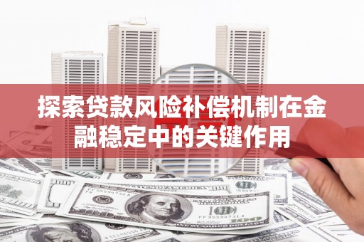 利辛探索贷款风险补偿机制在金融稳定中的关键作用