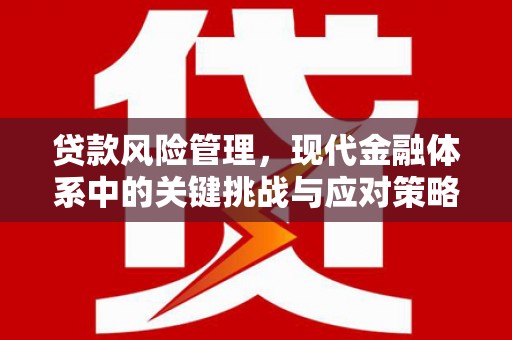 阳曲贷款风险管理，现代金融体系中的关键挑战与应对策略