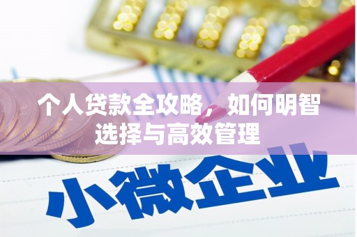 阿莲个人贷款全攻略，如何明智选择与高效管理