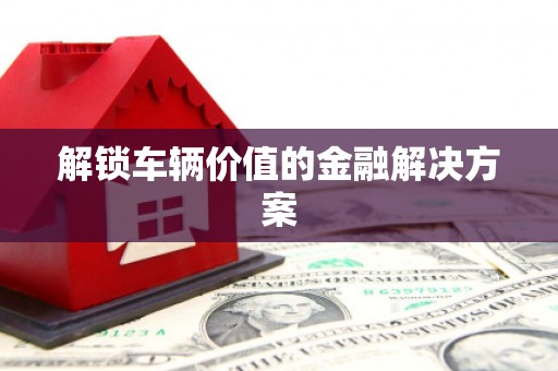 天峨解锁车辆价值的金融解决方案