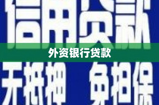 阿里山外资银行贷款