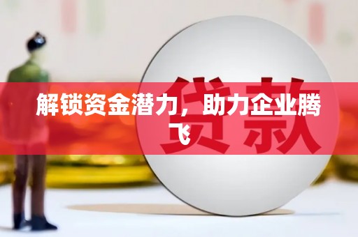 卑南解锁资金潜力，助力企业腾飞