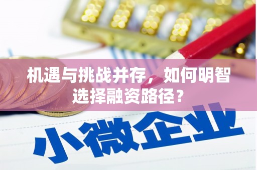 昭苏机遇与挑战并存，如何明智选择融资路径？